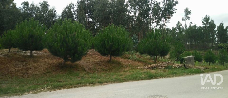 Land in Arrifana of 2,610 m²