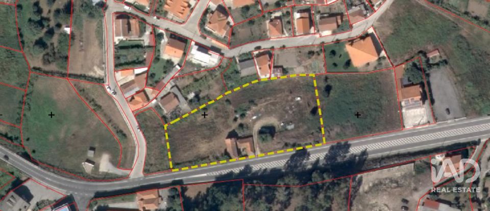 Moradia T0 em Baltar de 175 m²