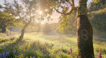 Terrain à bâtir à Marmelete de 65 160 m²