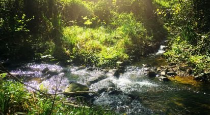 Terrain à bâtir à Marmelete de 65 160 m²