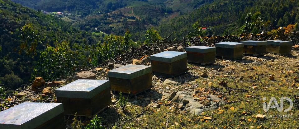 Building plot in Marmelete of 65,160 m²