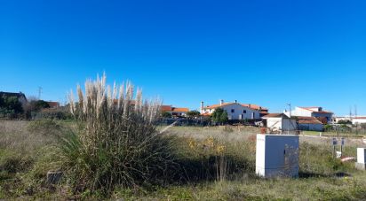 Terreno urbano em Cantanhede e Pocariça de 195 m²