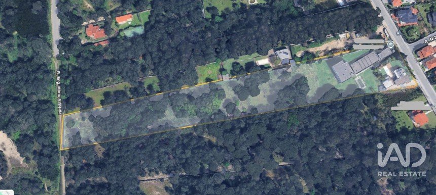 Prédio em Árvore de 1 735 m²