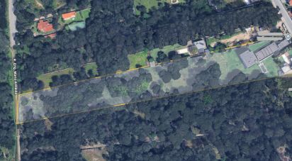 Prédio em Árvore de 1 735 m²