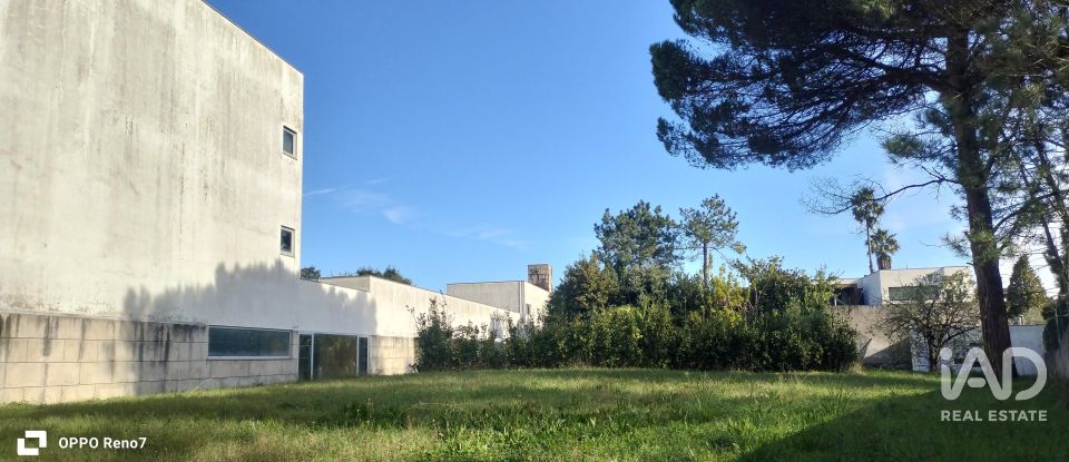 Prédio em Árvore de 1 735 m²