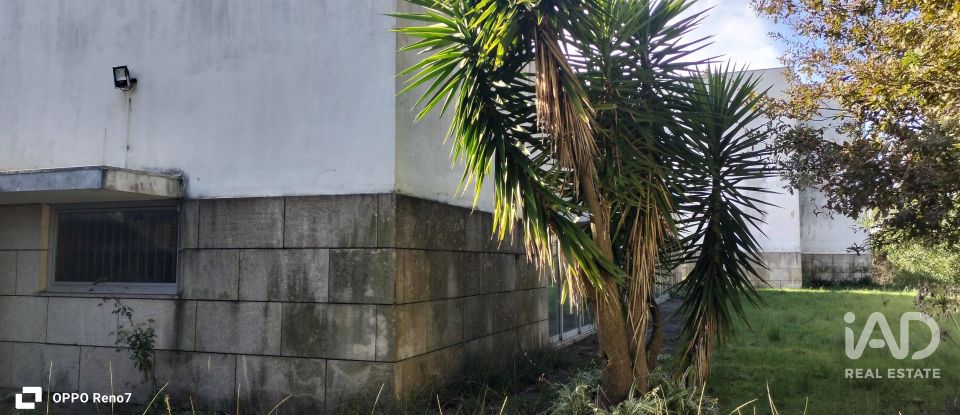 Prédio em Árvore de 1 735 m²