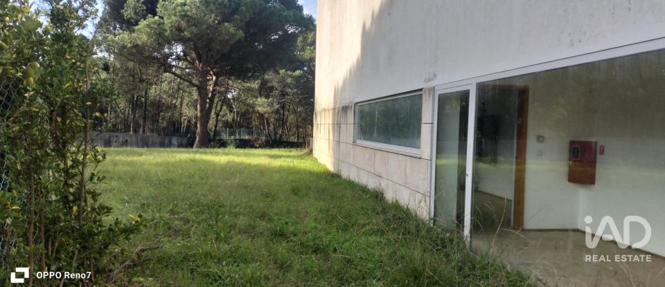 Prédio em Árvore de 1 735 m²