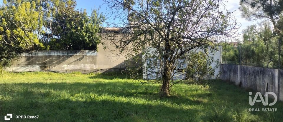 Prédio em Árvore de 1 735 m²