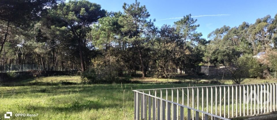 Prédio em Árvore de 1 735 m²