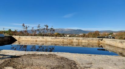 Agricultural quinta  T0 in Caria of 44,720 m²