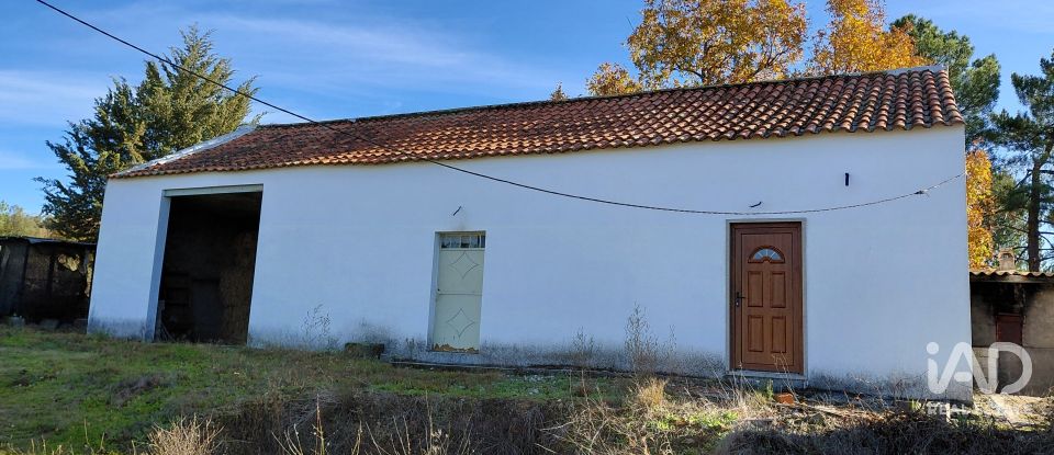 Agricultural quinta  T0 in Caria of 44,720 m²