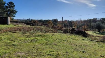 Agricultural quinta  T0 in Caria of 44,720 m²