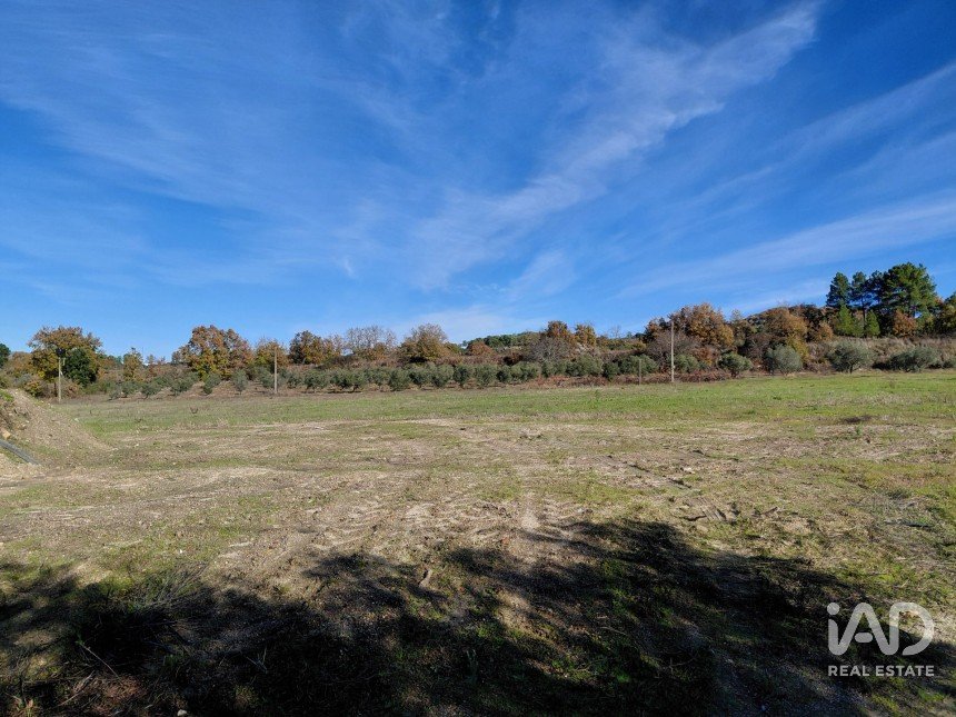 Agricultural quinta  T0 in Caria of 44,720 m²