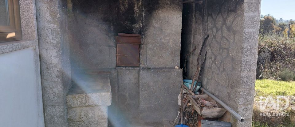 Agricultural quinta  T0 in Caria of 44,720 m²