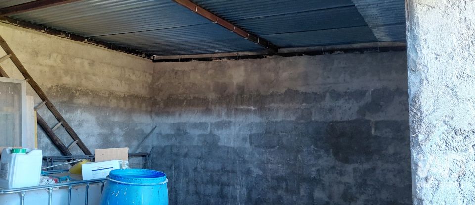 Agricultural quinta  T0 in Caria of 44,720 m²