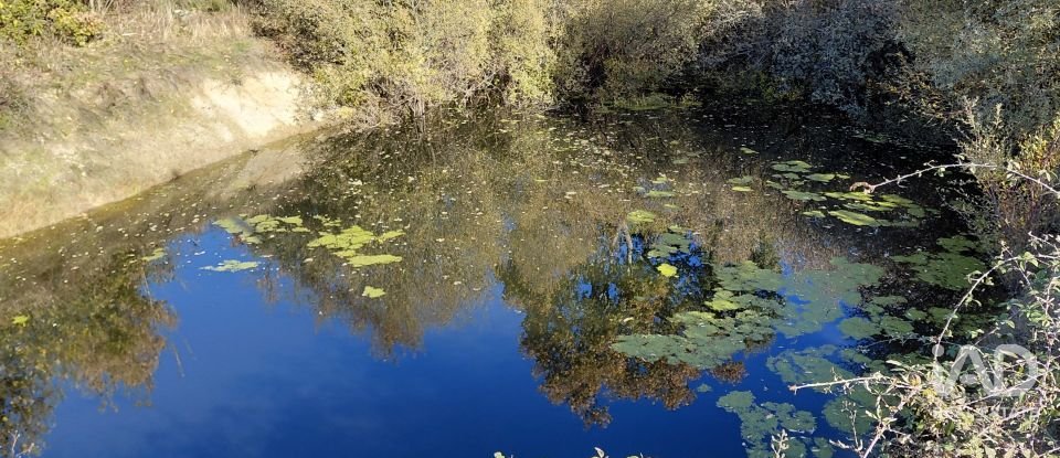 Agricultural quinta  T0 in Caria of 44,720 m²