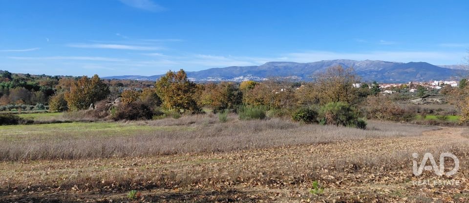 Agricultural quinta  T0 in Caria of 44,720 m²