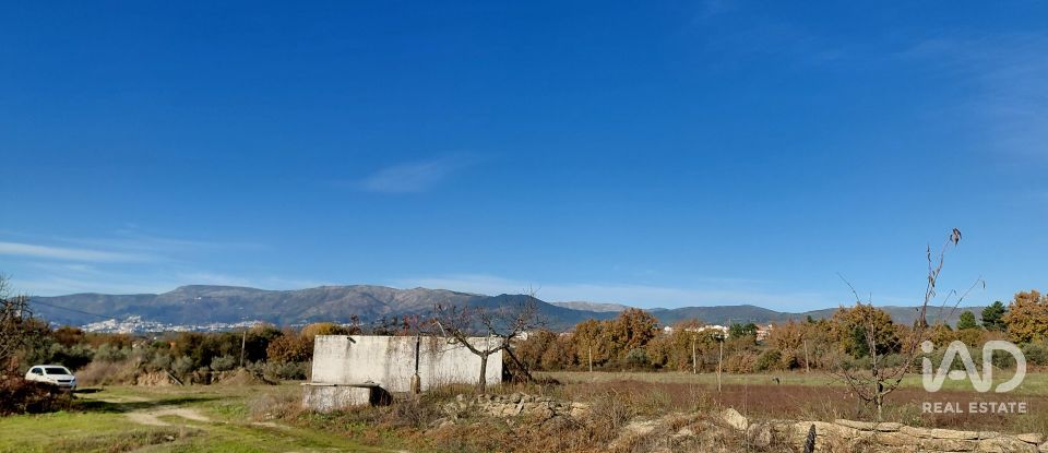 Agricultural quinta  T0 in Caria of 44,720 m²