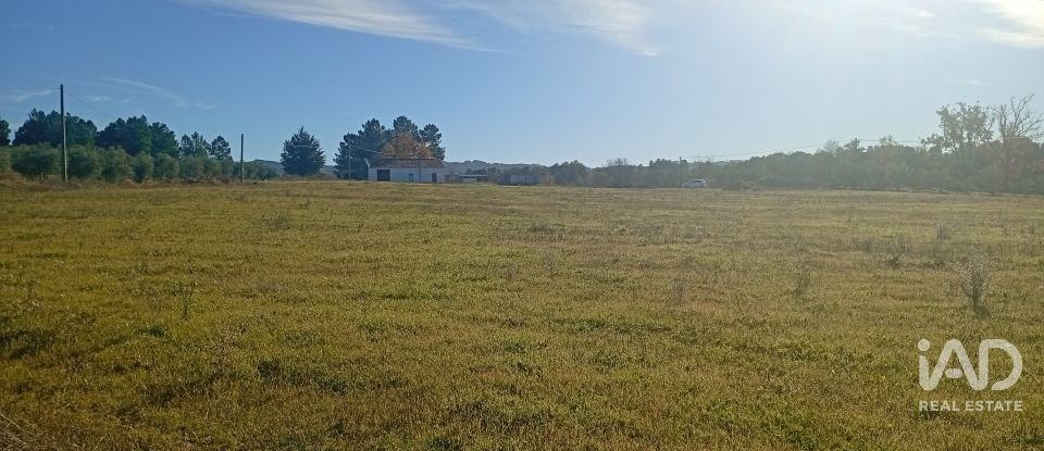 Agricultural quinta  T0 in Caria of 44,720 m²