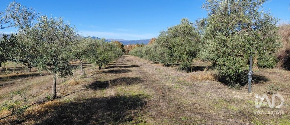 Agricultural quinta  T0 in Caria of 44,720 m²