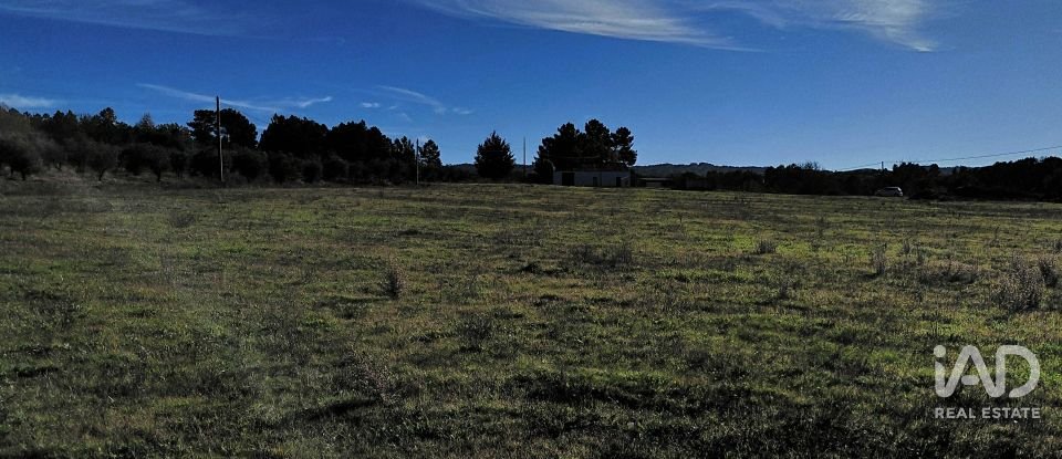 Agricultural quinta  T0 in Caria of 44,720 m²