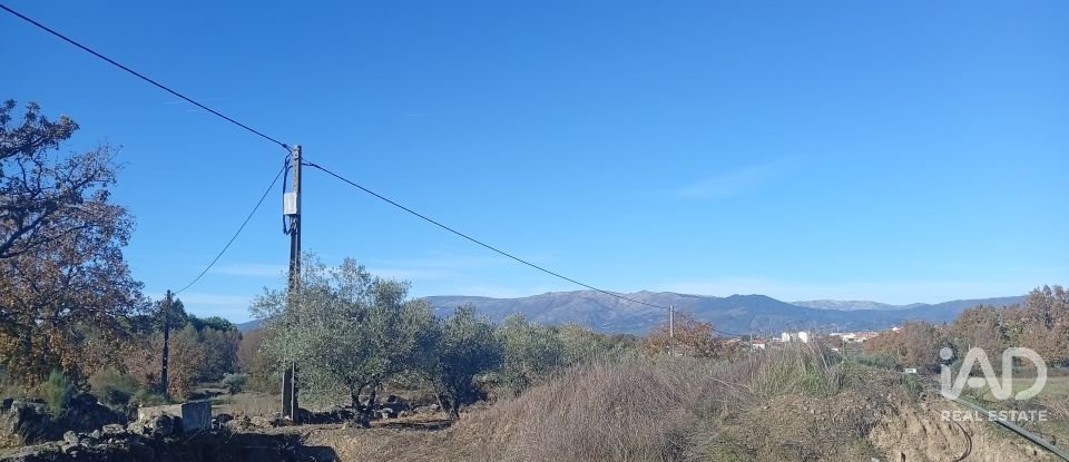 Agricultural quinta  T0 in Caria of 44,720 m²