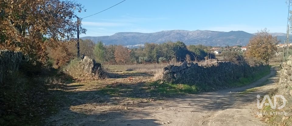 Agricultural quinta  T0 in Caria of 44,720 m²