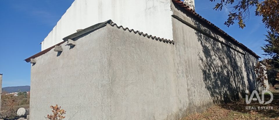 Agricultural quinta  T0 in Caria of 44,720 m²