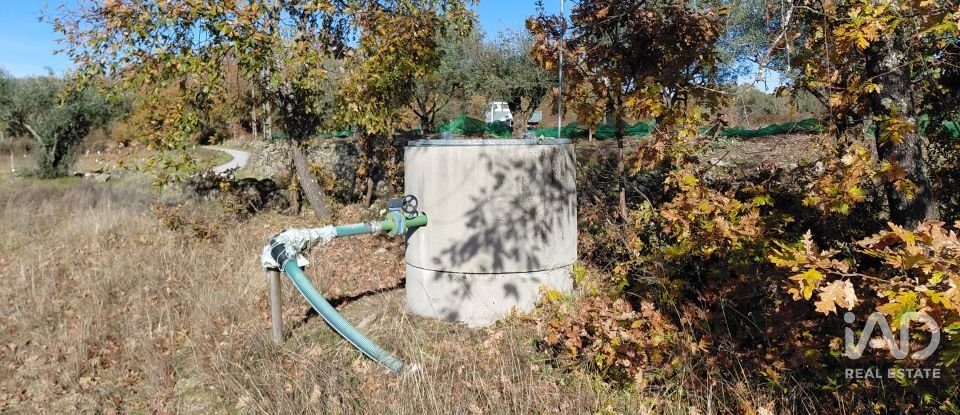 Agricultural quinta  T0 in Caria of 44,720 m²