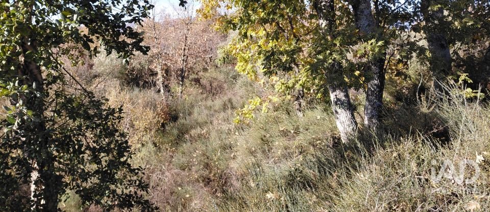 Agricultural quinta  T0 in Caria of 44,720 m²