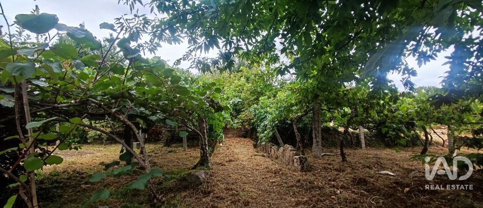 House T5 in Loivo of 347 m²