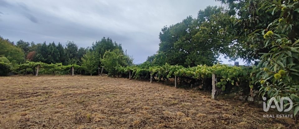 House T5 in Loivo of 347 m²