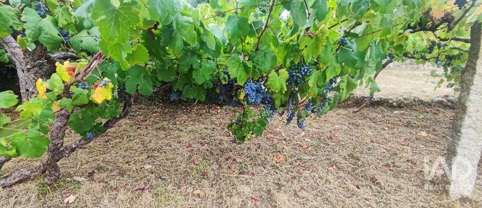 House T5 in Loivo of 347 m²