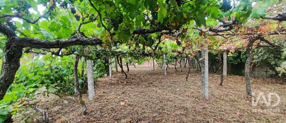 House T5 in Loivo of 347 m²