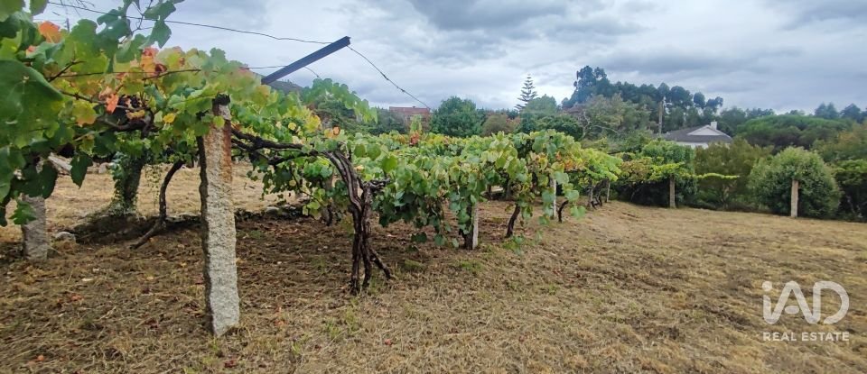 House T5 in Loivo of 347 m²