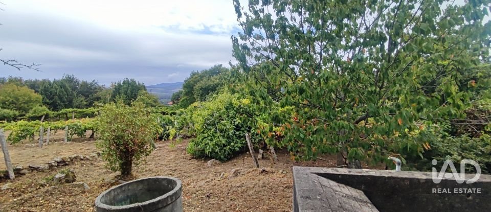 House T5 in Loivo of 347 m²