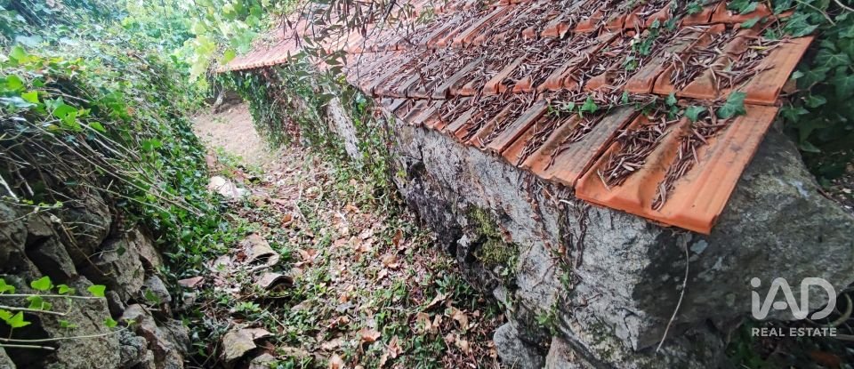 House T5 in Loivo of 347 m²