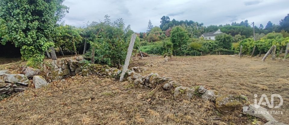 House T5 in Loivo of 347 m²