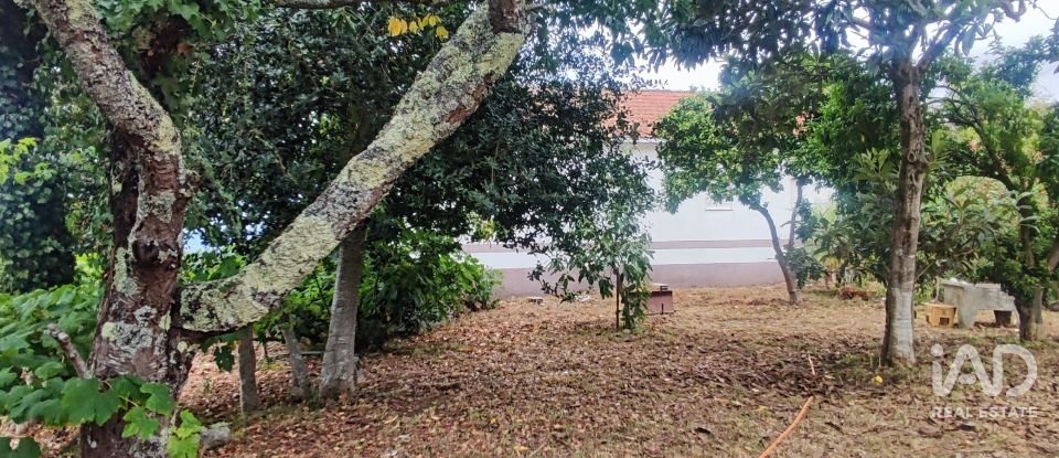 House T5 in Loivo of 347 m²