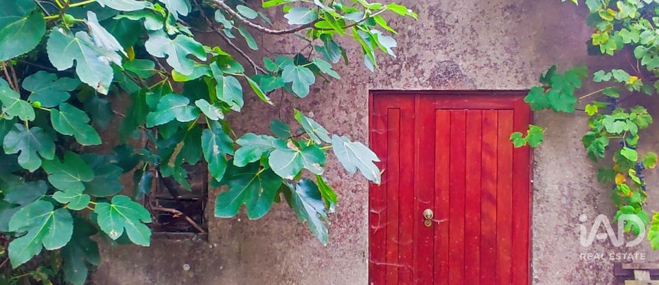 House T5 in Loivo of 347 m²