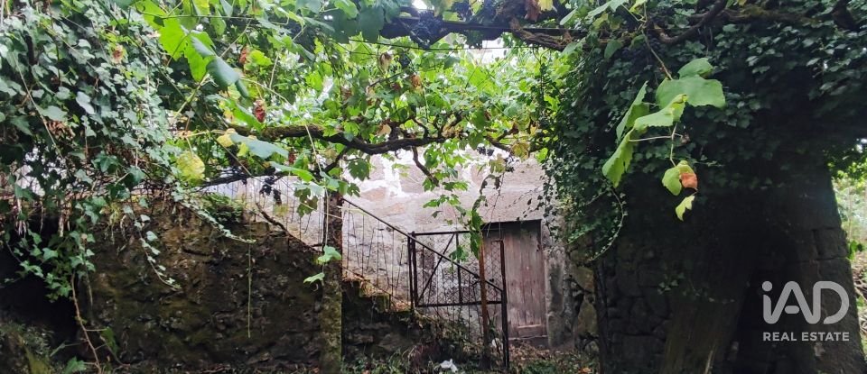 House T5 in Loivo of 347 m²