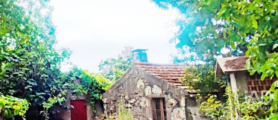 House T5 in Loivo of 347 m²