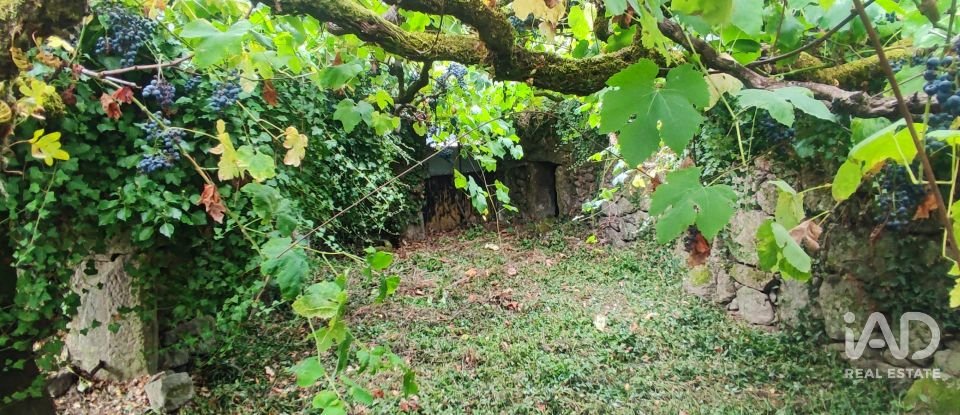 House T5 in Loivo of 347 m²