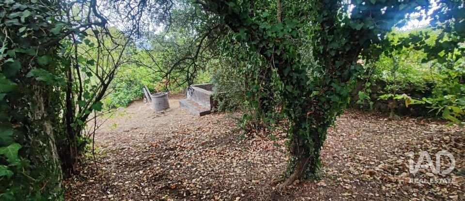 House T5 in Loivo of 347 m²