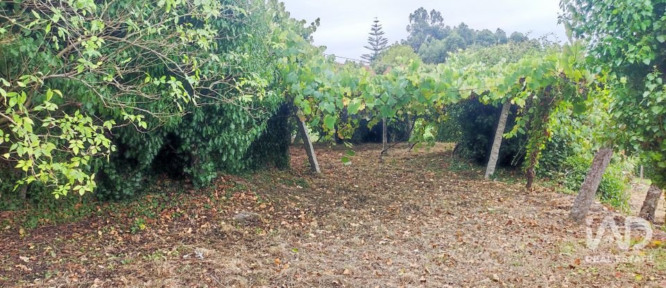 House T5 in Loivo of 347 m²