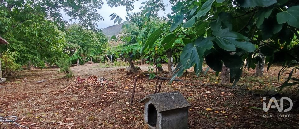 House T5 in Loivo of 347 m²