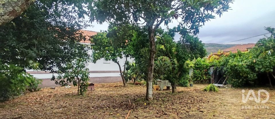 House T5 in Loivo of 347 m²